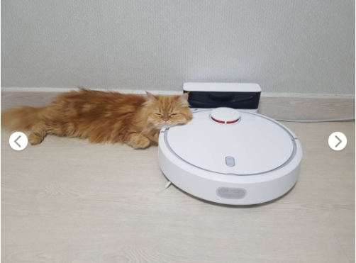 掃地機(jī)器人 掃地機(jī)器人